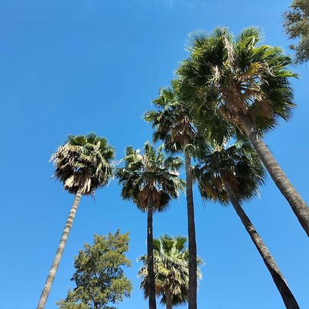 Vas Malaga Ciudad Hotell Exteriör bild